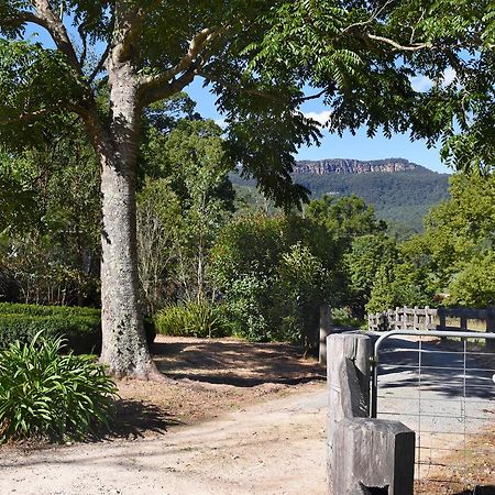 The Laurels B&B Kangaroo Valley Zewnętrze zdjęcie