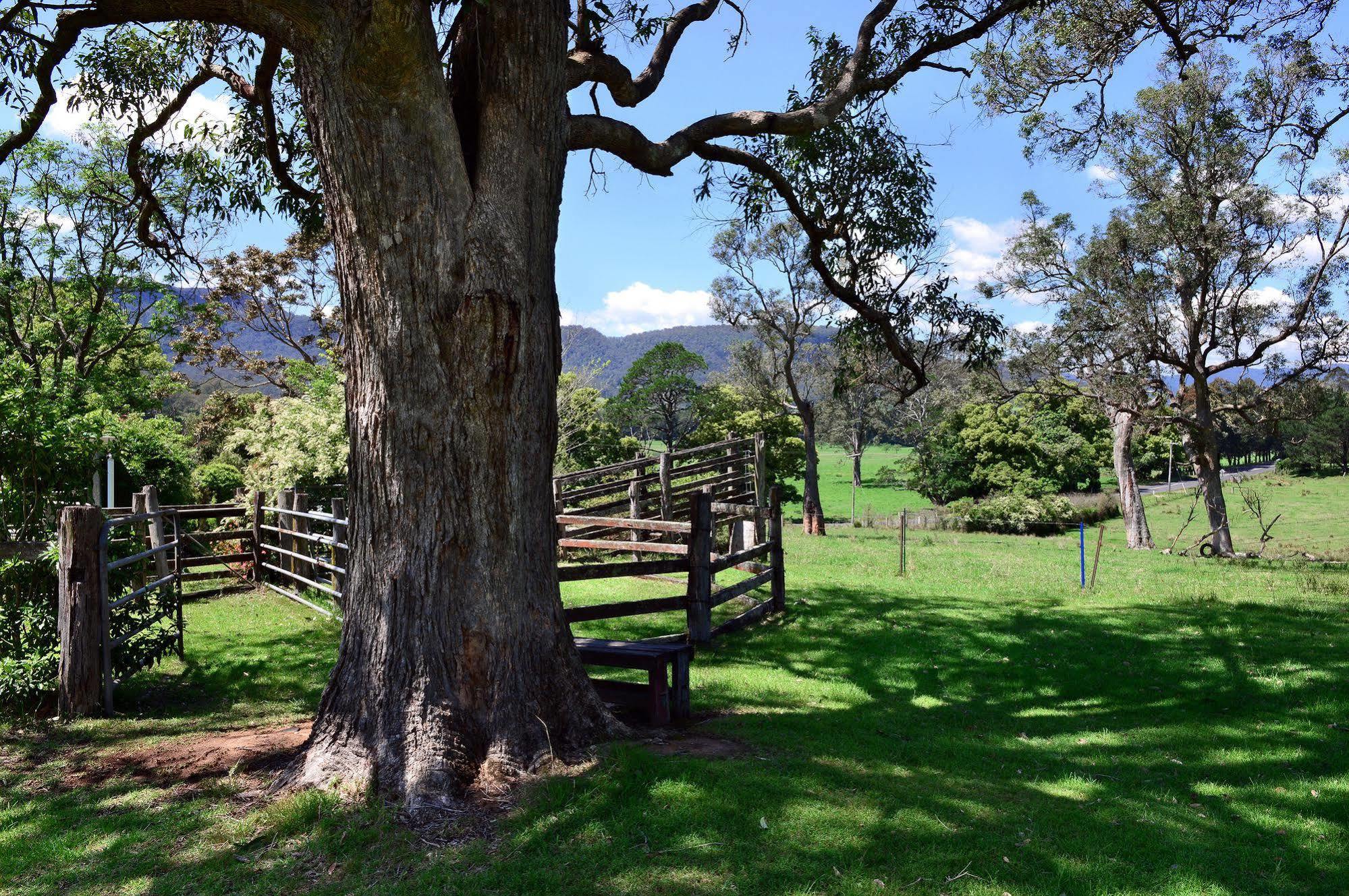The Laurels B&B Kangaroo Valley Zewnętrze zdjęcie
