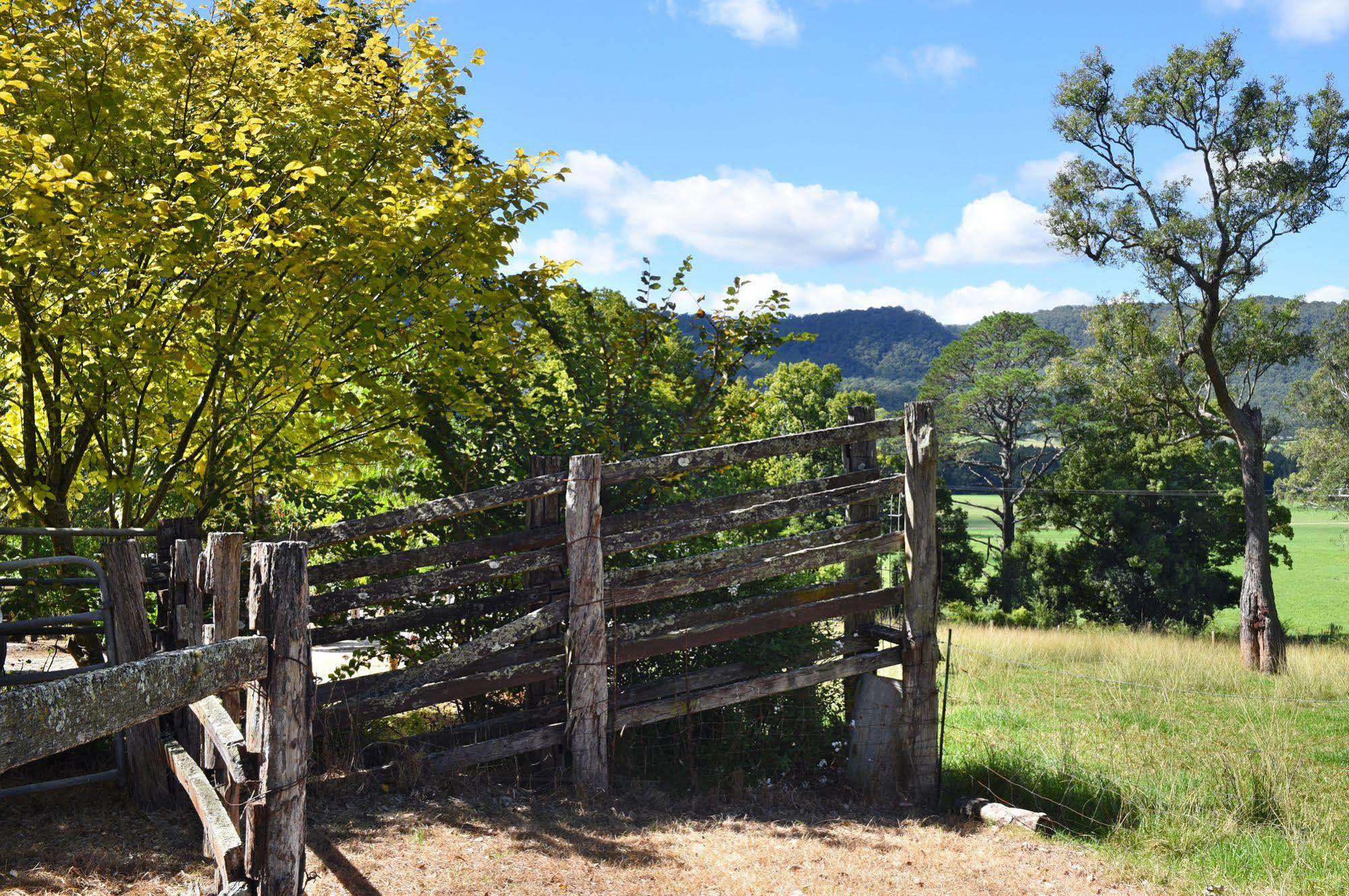 The Laurels B&B Kangaroo Valley Zewnętrze zdjęcie